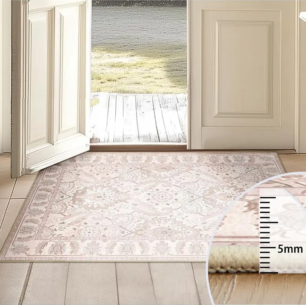 BESTSWEETIE Boho 2x3 Area Rugs Machine Washable Carpet Low Pile Non Shedding Doormat Soft Area Rugs for Living Room Bedroom Entryway Hallway Indoor