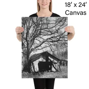 Tree-Hut-Curtis-Neeley-Canvas Classic B&W, Groupf16