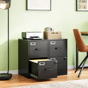 2-Drawer Lockable Vertical Steel File Cabinet, Letter Size Filing Storage for Office & Home Use