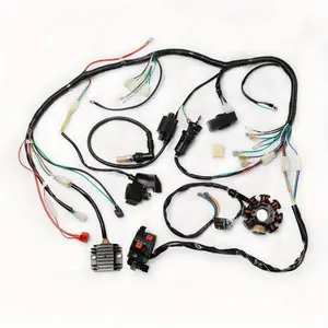Electric Stator Wiring Harness 150CC 200CC 250CC Quad ATV Buggy Go Kart Taotao