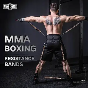 INNSTAR Resistance Agility Strap System