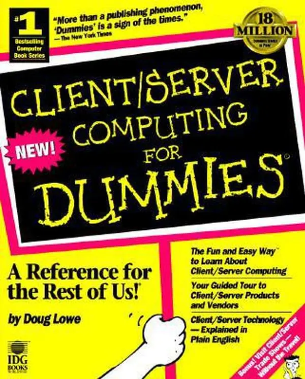 USED-Client Server Computing for Dummies by Doug Lowe (Paperback)