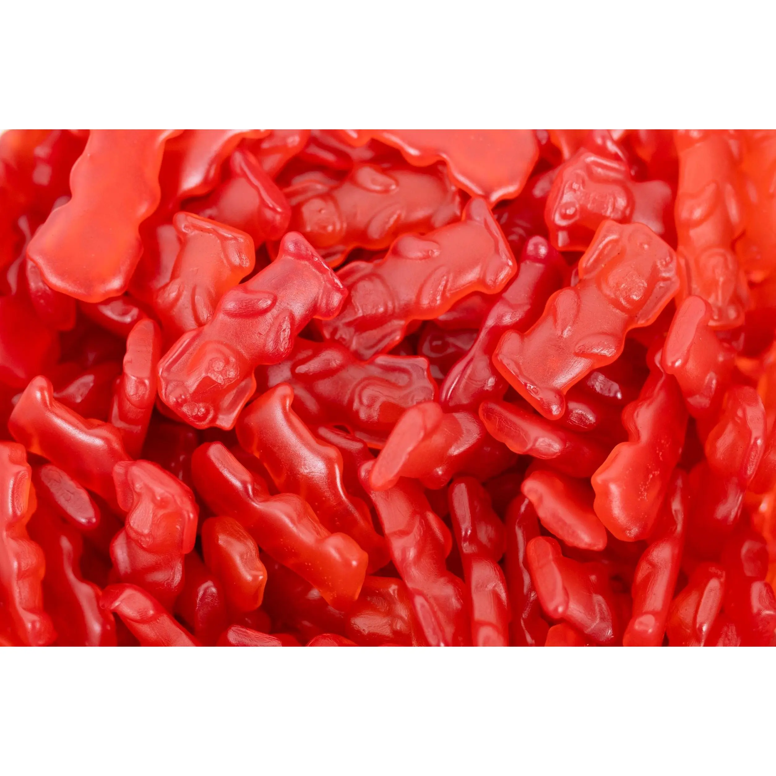Red Dogs