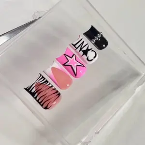 Acrylic Press On Nails Hand Painted design