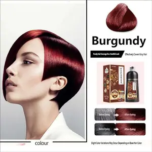Wine Bubble Hair Dye Kit, Easy Apply Even Color, Gentle Formula, Long-Lasting Color, Includes Full Set Coloring Tools, Natural Look