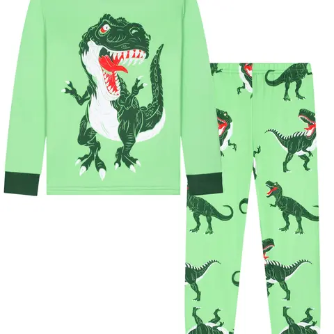 Kids Cartoon Dinosaur Print Long Sleeve Top and Pants Set, Junior Casual Loose-Fit Home Wear, Comfortable Digital Print Sleepwear for All Seasons
