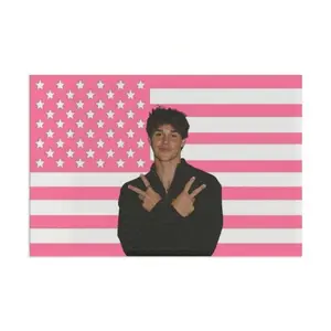 Noah Beck-Inspired Pink American Flag Cool Wall Hanging, Novelty Flag Banner For Bedroom Living Room Home Decor tapestry， funny tapestry durable man