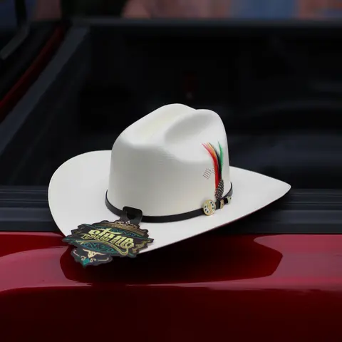 SAN JUDAS SINALOA LIMITED EDITION