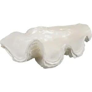 Resin Clam Shell Decorative Bowl - Seashell Ocean Themed Home Decor Accent for Entryway Console Coffee Table Living Room, 9 * 6 * 3.5 Inch
