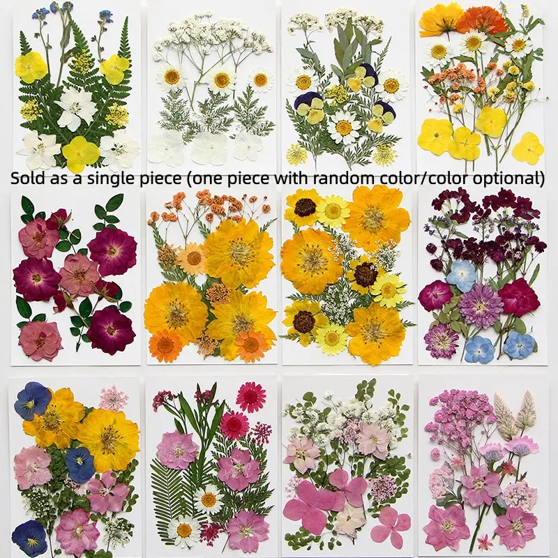 15 Pieces Dried Pressed Leaves Dried Flowers For Resin Real Assorted Dried Greenery For Pressed Leaf Art Handcraft Craft DIY Scrapbooking Handmade Bookmarks Embellishment Decorations Crafting Kit