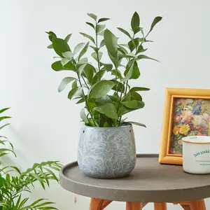 Grey Hanging Planter with Macrame Plant Hanger