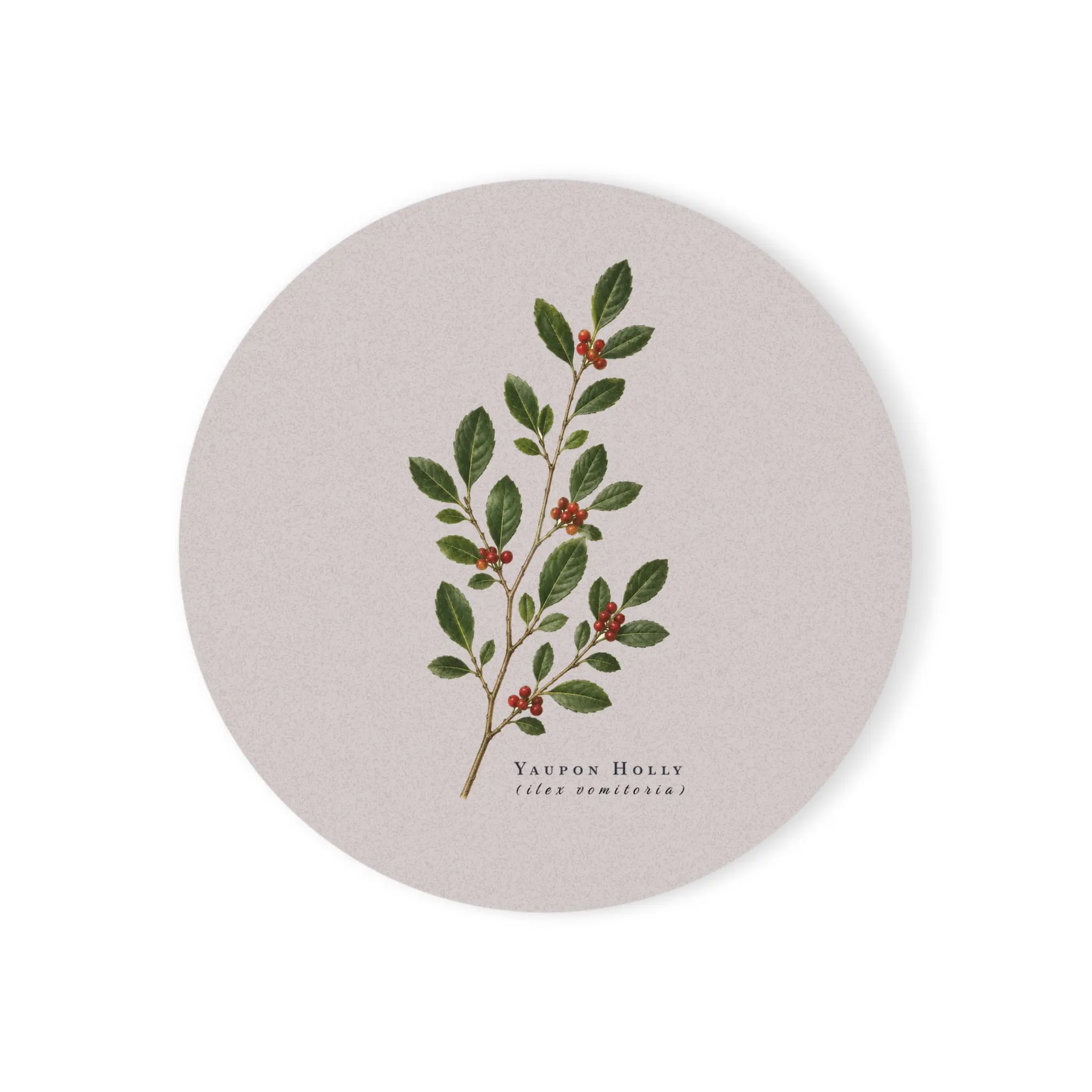 Vintage Yaupon Holly Native Plant Cork-Back Drink Coaster, Kitchen Tableware & Kitchenware Accessory