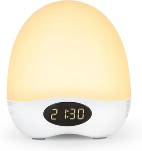 Egg Night Light for Nursery, Portable Rechargeable Baby Nightlight with Touch Control & RGB Color Changing,  Breastfeeding Lamp with Timer, Cute Wireless Night Light