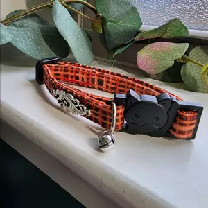 orange cat collar