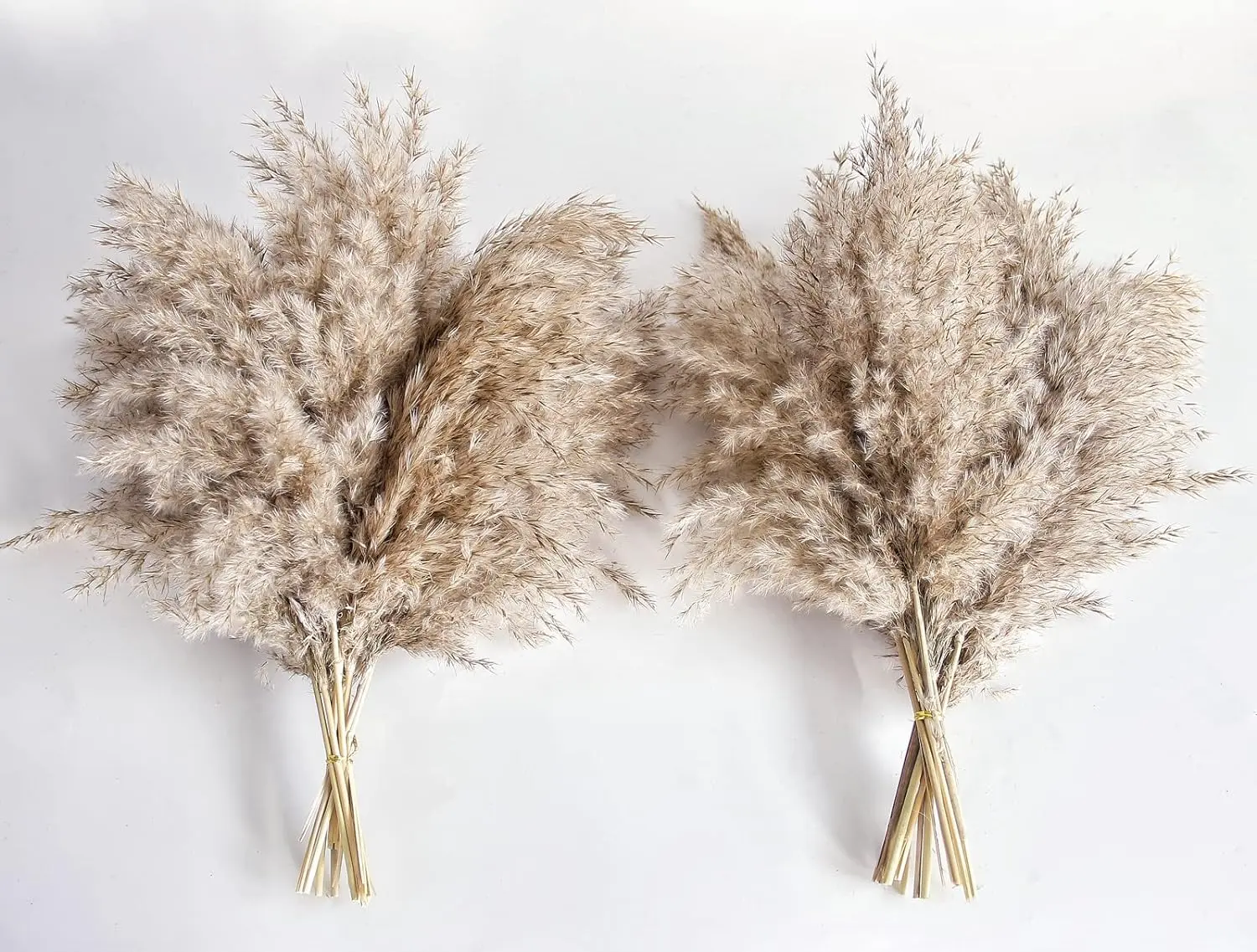 20Pcs Pampas Grass Decor, Natural Dry Pampas Grass Small, Short Pampass Bulk for Farmhouse, Wall, Kitchen, Bedroom Decor, Office Decor (17 inch ) Decorative Fruit Decoration Flowers Nature Ornaments