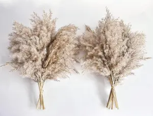 20Pcs Pampas Grass Decor, Natural Dry Pampas Grass Small, Short Pampass Bulk for Farmhouse, Wall, Kitchen, Bedroom Decor, Office Decor (17 inch ) Decorative Fruit Decoration Flowers Nature Ornaments