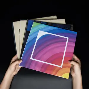 50-Pack Vinyl Outer Record Sleeve,Crystal Clear Jacket Fit for Most 12/7 Inch LPs & Album Cover,No-Seal Flap for Easy Access