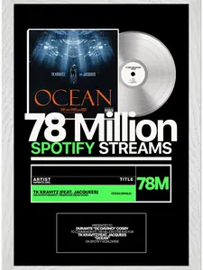 Personalized Music Plaque, Song Plaque, Custom Album Plaque, Music Frame Gift, Framed Music Poster, "PRINT" Vinyl Record Plaque