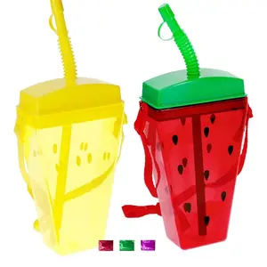 Fruit Themed Water Bottles 2 pk