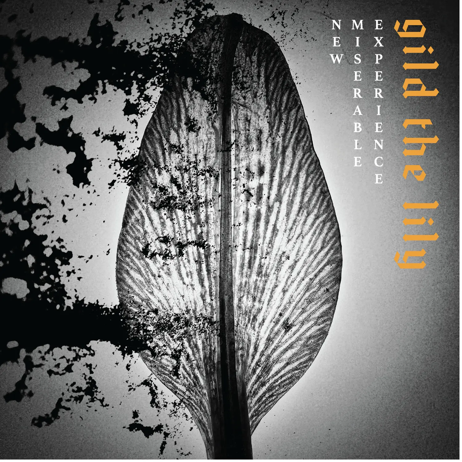 New Miserable Experience - Gild The Lily  [VINYL RECORD - LP]
