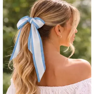 Argentina Flag Hair Scarf, Purse Accessories Handbag Charm, Hair Tie Bag Scarf