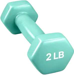 Colorful Hex Vinyl Dumbbell 2 lb – Non-Slip Coated Hand Weight for Home Exercise & Strength Training (New)