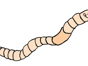 "worm" sticker