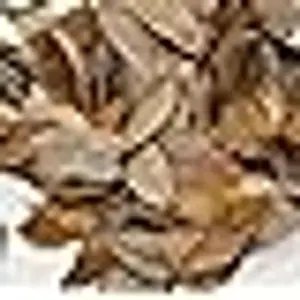 Leaf Litter Hand Packaged Terrarium Bedding Isopod Dart Frog Substrate (1 Gallon)