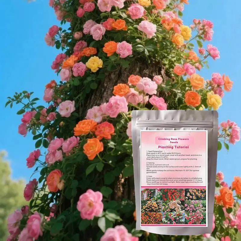 200 PCS Climbing Rose Seeds - Beautiful Vine Rose Flower Seeds for Fence & Garde