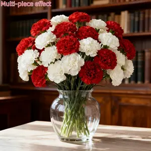 10pcs Artificial Carnations, Plastic & Realistic, for Weddings, Valentine’s, Mother’s Day, Seasonal Decor, Event Planners, Home Stylists