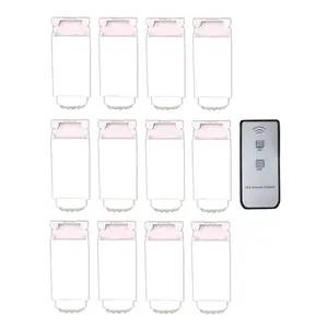 12-Pack + Remote Wireless Remote Controlled Paper Lantern Light Kit, Cool White (Battery Powered)