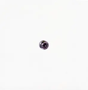 'Plum Bum' Original Watercolor Painting