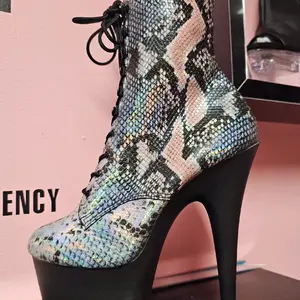 Pleaser Dance  Heels