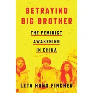 USED-Betraying Big Brother: The Feminist Awakening in China by Hong Fincher, Leta (Hardcover)