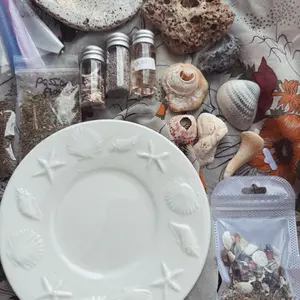 Sea Witchcraft Spellwork Kit, Witchcraft Tools, Sea Witch Tools, Beginner Spellwork Kit, Sea Witch Kit, Seashell Plate