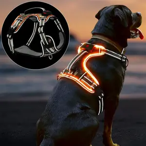 LED Light Up Dog Harness, Rechargeable, Reflective, Lightweight, Rainproof, Small