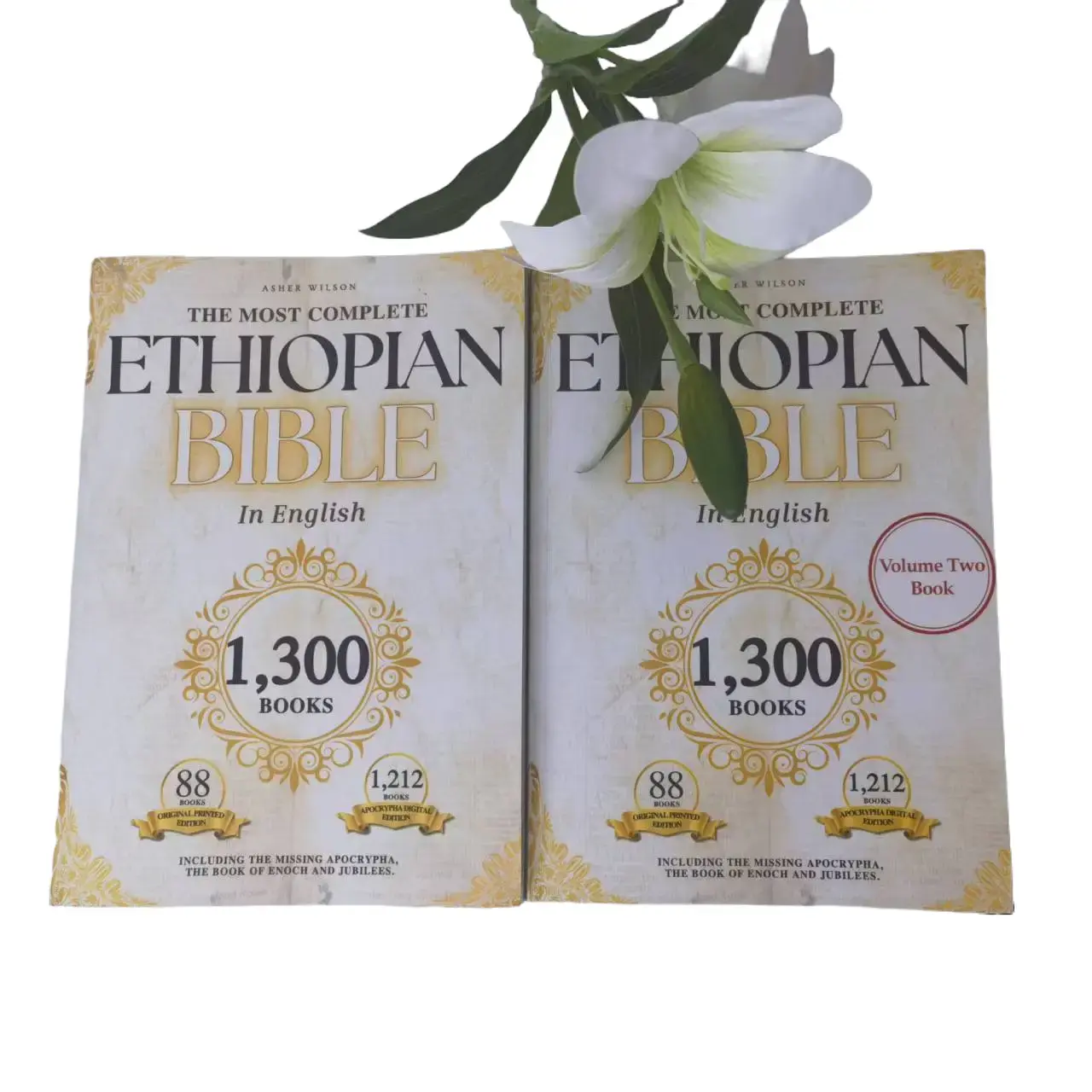Ethiopian Bible 2-Volume Magnificent Edition Set - Includes 157-Volume English Collection, Lost Apocrypha, Rare Biblical Texts(Religion & Philosophy Office Gift Book) study perfect self improvement journal guide reflection note