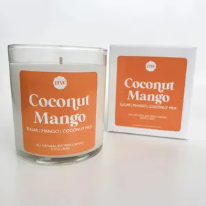 Single Wick Candle | Coconut Mango