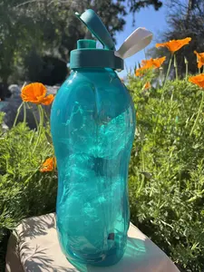 Botellas 2 litos Azul