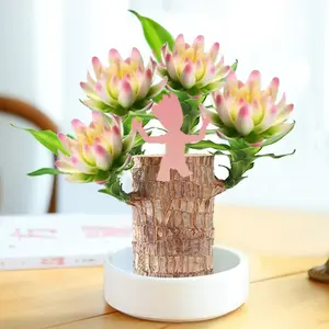 5#Brazilian Lucky Wood Doll with Base for Luck and Wealth,Easy to Grow Indoors,Decorative Ornament for Luck and Wealth