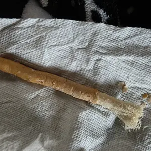 Zenia Sewak Miswak Natural Toothbrush Stick Oral Daily