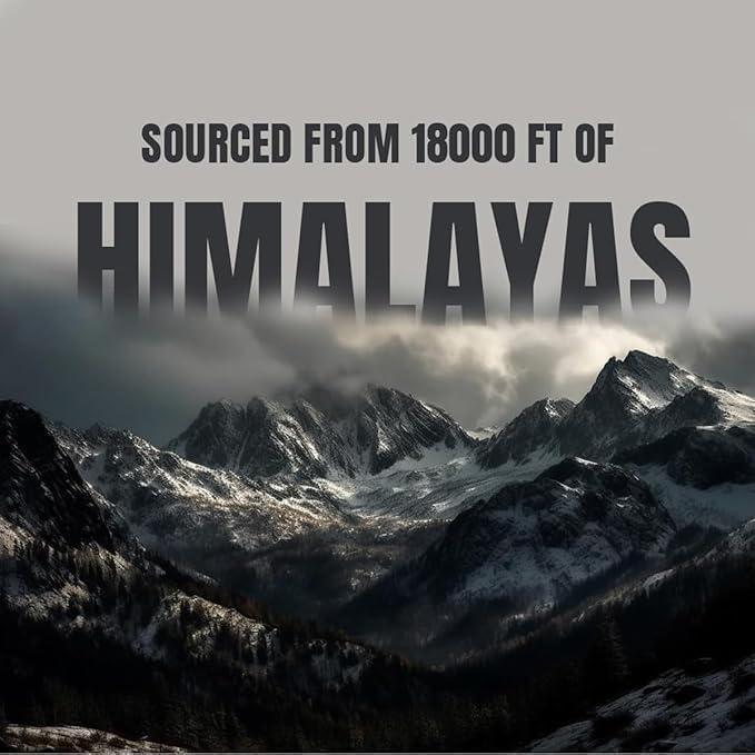 Bargad Himalayan Shilajit Sticks with Organic Honey & Caramel (7 Count) - Dietary Supplement with 85+ Trace Minerals & 75%+ Fulvic Acid for Energy & Immunity Healthcare Natural