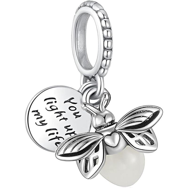 10 Pack Silver Charms for Pandora Bracelets and Necklaces Charms for Women CZ Pendant Jewelry Charm Set