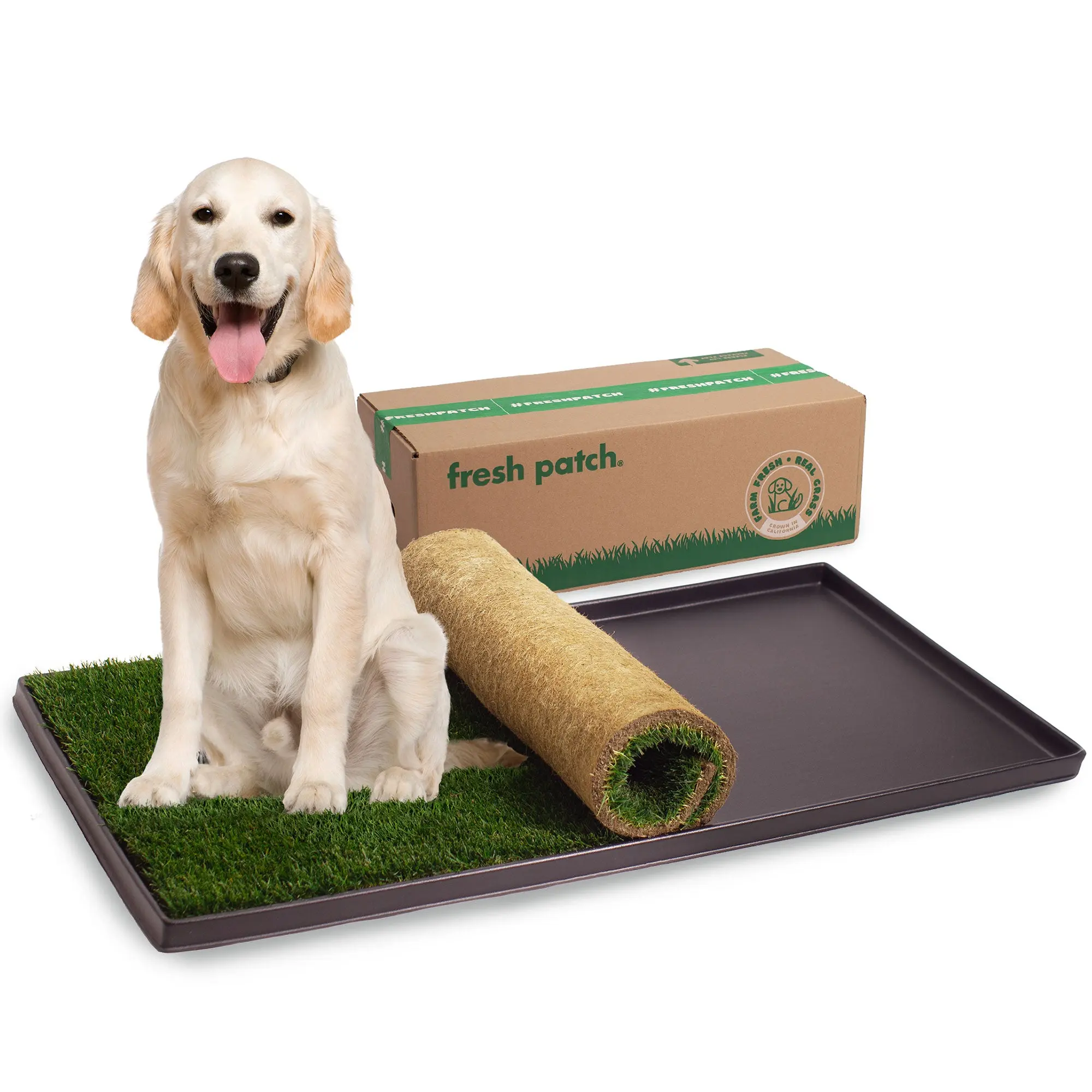 Fresh Patch XL Combo Pack (Grass and Tray)