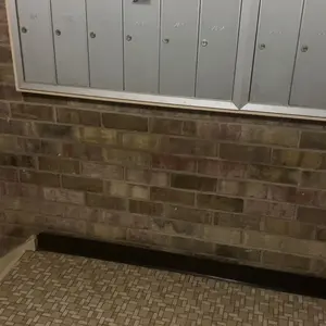 Product Review of Lopeie Whipped Grass-Fed Beef Tallow Honey Balm - 4 Oz,Moisturizing Cream for Soft, Smooth Skin - Handmade All-Natural Moisturizer - Lavender from s**l