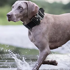 Dog Collar Explosion-Proof Tactical Collar with Handle