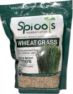 Wheatgrass Seeds -   Wheat Grass Seed for Sprouting -  Grass Planter Seeds, Rich in Vitamins, Fiber and Minerals - Non-GMO,  Wheatgrass Sprout Growing Seed