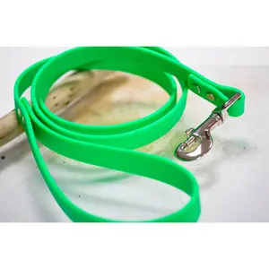 Waterproof Adventure Leash
