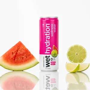 Wet Hydration Watermelon Lime 12-Pack - Sugar-Free Electrolyte Infused Wellness Water with Magnesium & Potassium, Energy & Refreshing Function