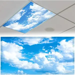 2pcs 4 x 2 Feet Magnetic Fluorescent Light Covers for Ceiling Lights Light Filters for Classroom Office Home Hospitals (Cloud)